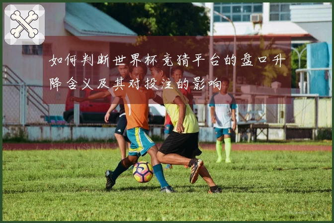 如何判断世界杯竞猜平台的盘口升降含义及其对投注的影响