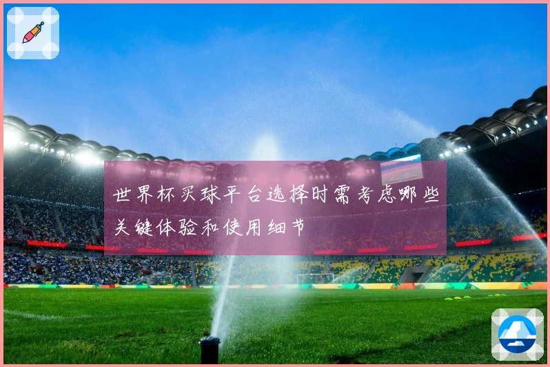 世界杯买球平台选择时需考虑哪些关键体验和使用细节