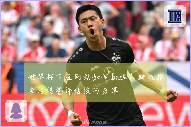 世界杯下注网站如何挑选？避坑指南与信誉评估技巧分享
