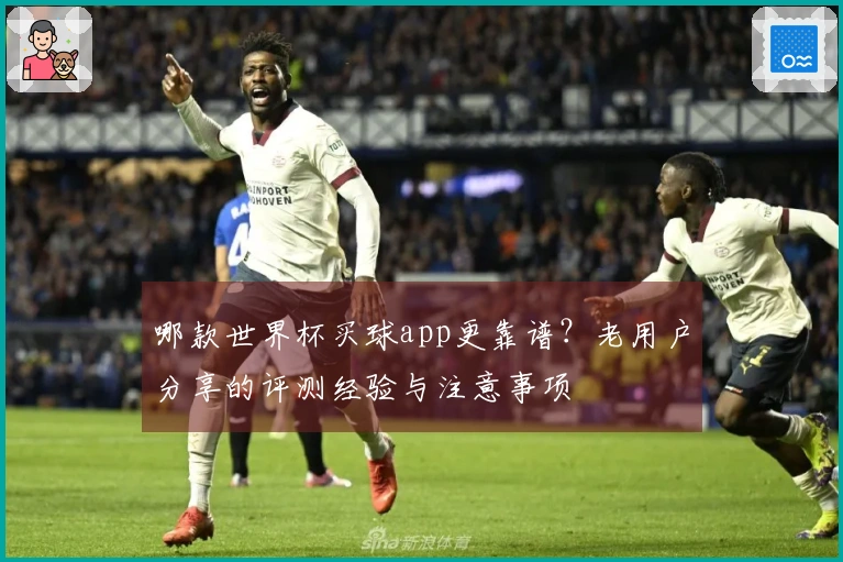 哪款世界杯买球app更靠谱？老用户分享的评测经验与注意事项