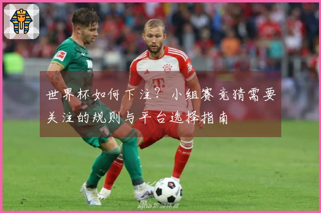 世界杯如何下注？小组赛竞猜需要关注的规则与平台选择指南