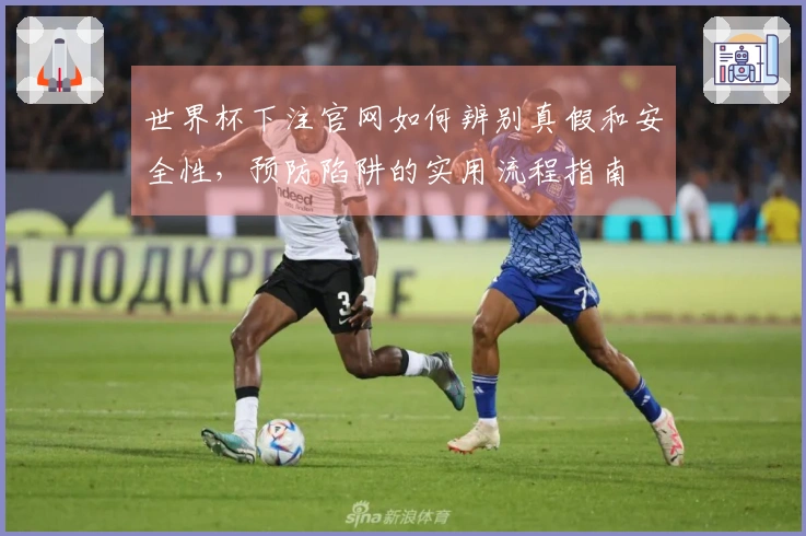 世界杯下注官网如何辨别真假和安全性，预防陷阱的实用流程指南