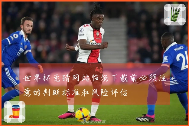 世界杯竞猜网站临场下载前必须注意的判断标准和风险评估