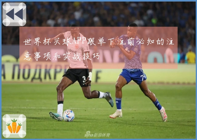 世界杯买球APP跟单下注前必知的注意事项和实战技巧
