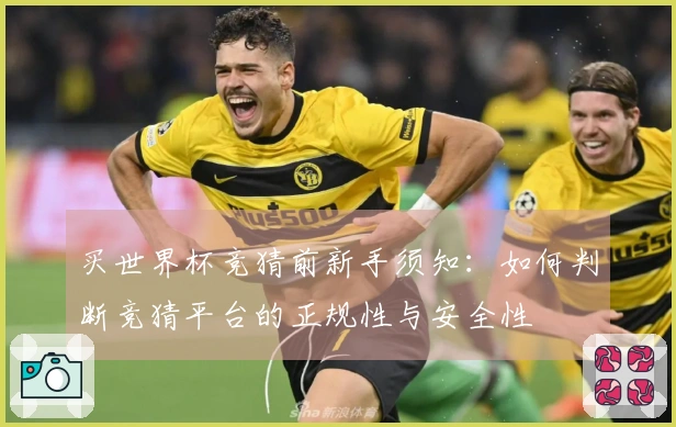 买世界杯竞猜前新手须知：如何判断竞猜平台的正规性与安全性
