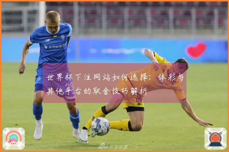 世界杯下注网站如何选择：体彩与其他平台的取舍技巧解析