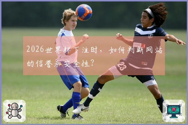 2026世界杯下注时，如何判断网站的信誉和安全性？