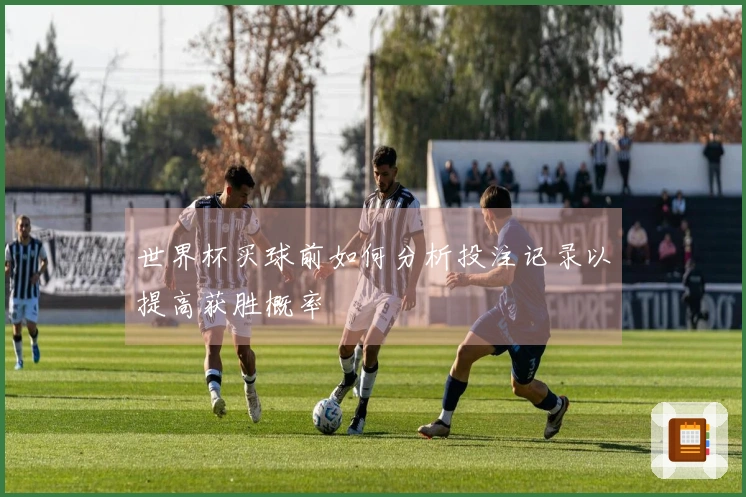 世界杯买球前如何分析投注记录以提高获胜概率