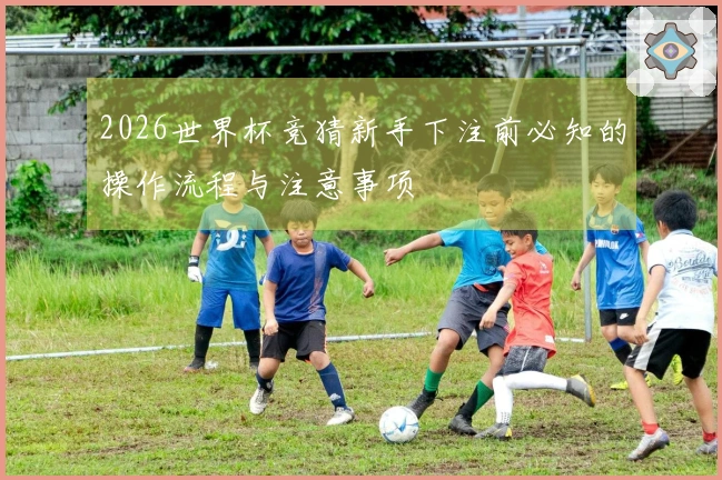 2026世界杯竞猜新手下注前必知的操作流程与注意事项