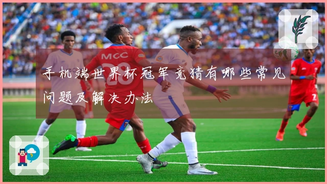 手机端世界杯冠军竞猜有哪些常见问题及解决办法
