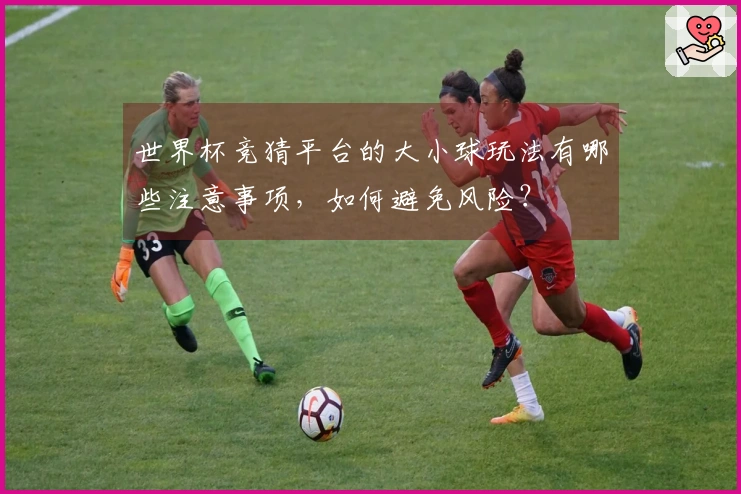 世界杯竞猜平台的大小球玩法有哪些注意事项，如何避免风险？