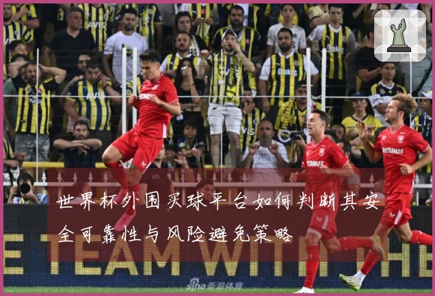 世界杯外围买球平台如何判断其安全可靠性与风险避免策略