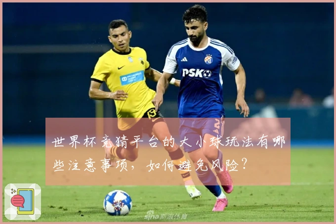 世界杯竞猜平台的大小球玩法有哪些注意事项，如何避免风险？