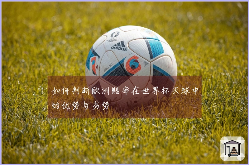 如何判断欧洲赔率在世界杯买球中的优势与劣势