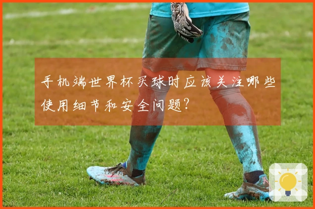手机端世界杯买球时应该关注哪些使用细节和安全问题？