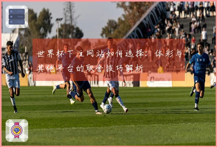 世界杯下注网站如何选择：体彩与其他平台的取舍技巧解析