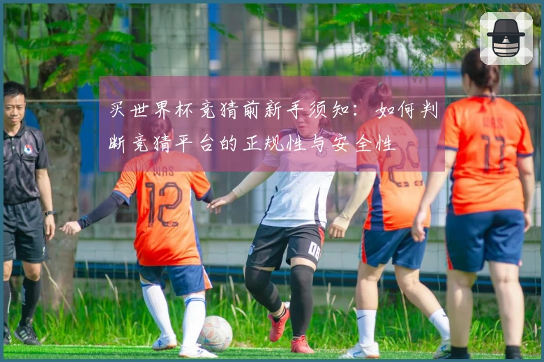 买世界杯竞猜前新手须知：如何判断竞猜平台的正规性与安全性