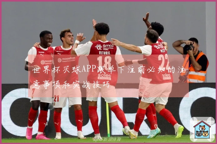 世界杯买球APP跟单下注前必知的注意事项和实战技巧