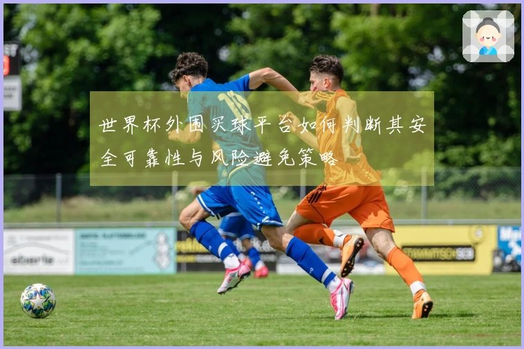 世界杯外围买球平台如何判断其安全可靠性与风险避免策略